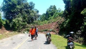 Jalan lintas Sulawesi di Gorontalo Utara Lumpuh Tertutup Longsor