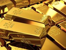 AMFIBI Support Upaya Praperadilan SP3 Kasus Penyeludupan Puluhan Kilogram Emas