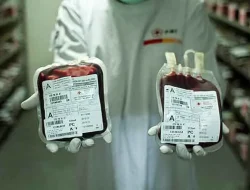 RSAS Kota Gorontalo Kembali Dikeluhkan Terkait Ketersediaan Darah