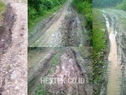 Akses Jalan Tani Rusak, Warga Mulyonegoro Ancam Blokade Jalan Untuk Kendaraan Palma Grup