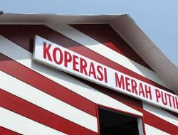 Koperasi Merah Putih Bisa Pinjam Modal Rp3 Miliar ke Himbara