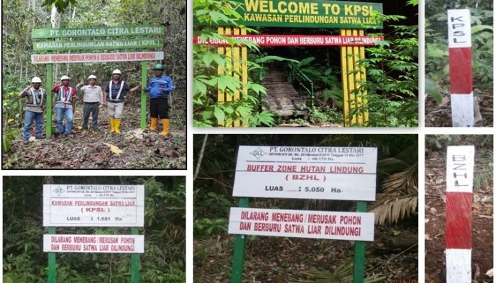 Menepis Isu HTI Gorontalo Tak Berizin, DLHK Tegaskan Seluruh Izin Sudah Lengkap