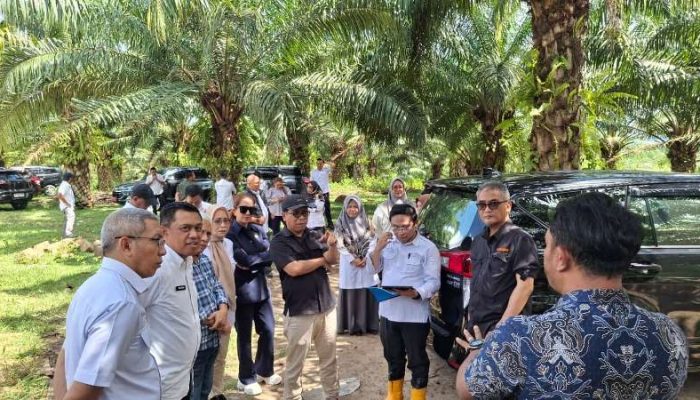 KPK Telusuri Jejak Ketimpangan Sawit di Gorontalo, Dari Plasma Tak Jelas hingga Dugaan Kriminalisasi Petani