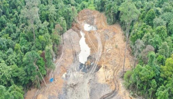 Pemerintah Ancam Cabut Izin Tambang Perusak Hutan, Denda Capai Rp 6,5 Miliar per Hektare