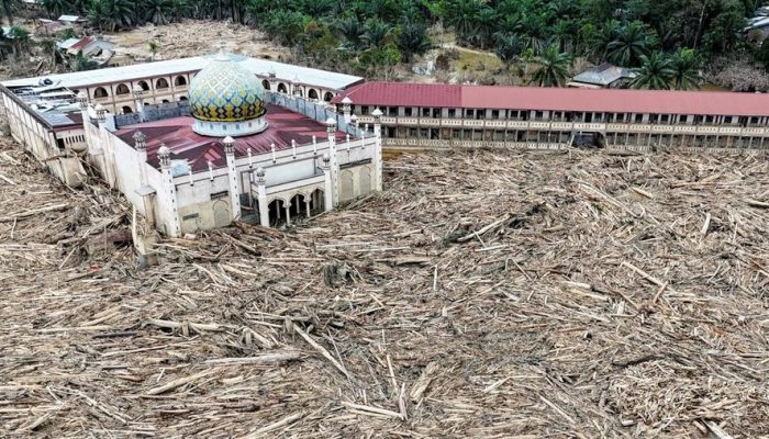 Gelondongan Kayu Timbun Pemukiman, Aceh Tamiang Lumpuh Usai Banjir Bandang