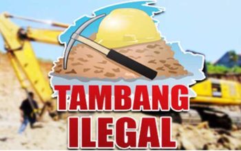 Terus Bertambah, 16 Unit Eskavator Kini Beroperasi di PETI Pasir Putih, Ada Milik Eks Ketua DPRD