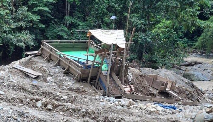 PETI di Dusun Pasir Putih Mootilango Kebal Hukum, Siapa yang Melindungi?