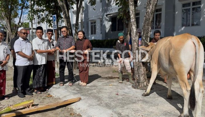 Semangat Berbagi di Hari Raya Idul Adha 1447 Hijriah, Kejati Gorontalo Sembelih 5 Ekor Sapi Kurban