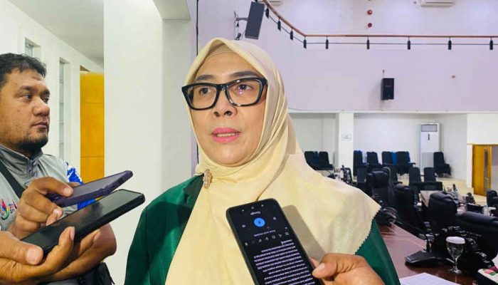 Sri Darsianti Kritik Penyaluran Bantuan UMKM, Koordinasi Dinilai Belum Maksimal