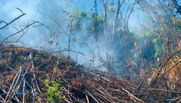 Kebakaran Lahan di Modelidu, Api Dikhawatirkan Merembet ke Hutan
