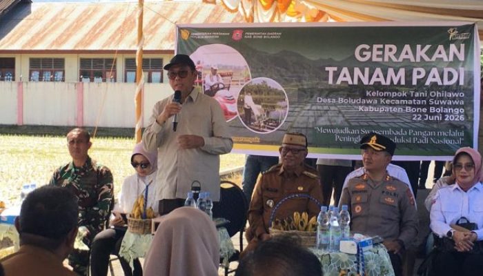 Dipuji Kementan, Produktivitas Padi Bone Bolango Tembus 12 Ton per Hektare