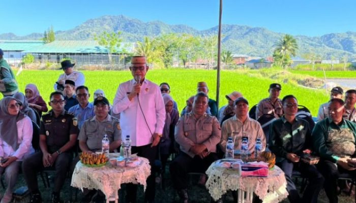 PM-AAS Didorong Dongkrak Produktivitas Padi Bone Bolango