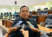 Limonu Hippy Khawatir IPR Jadi Kedok Pemodal Besar